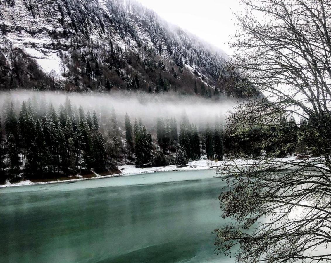 Micro-Lodge, Le Petit Nid D'Amour Montriond Bagian luar foto
