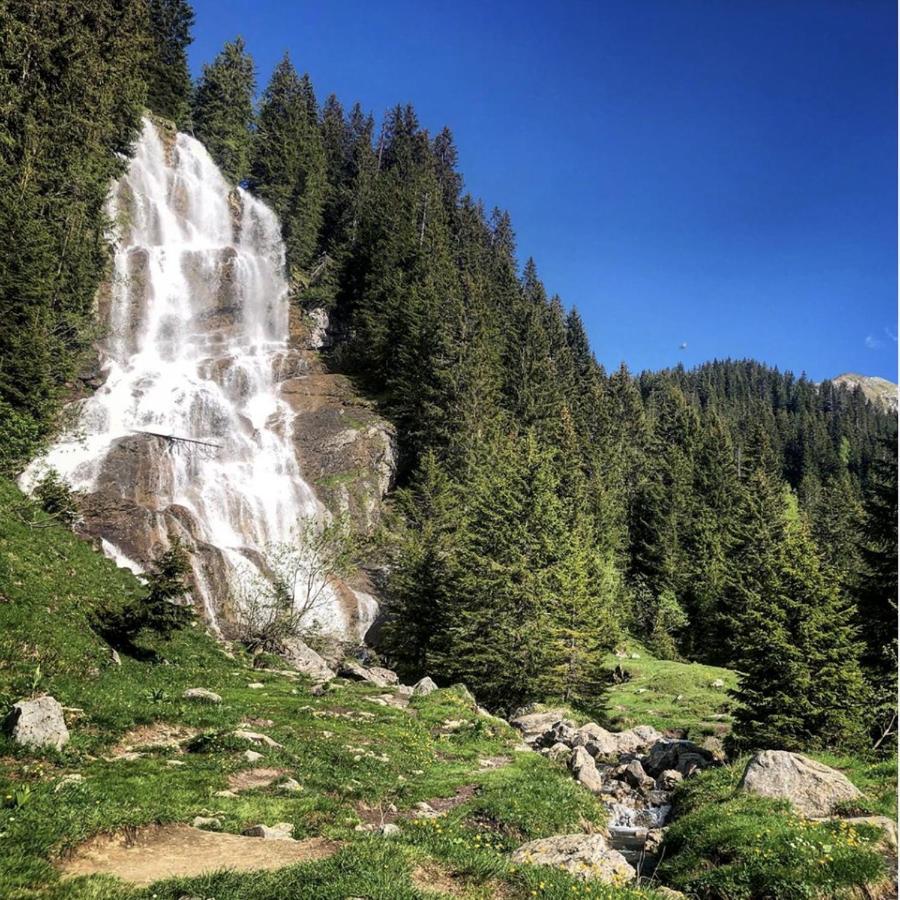 Micro-Lodge, Le Petit Nid D'Amour Montriond Bagian luar foto