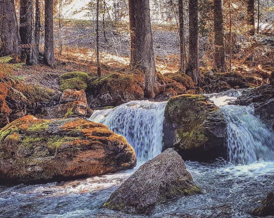 Micro-Lodge, Le Petit Nid D'Amour Montriond Bagian luar foto