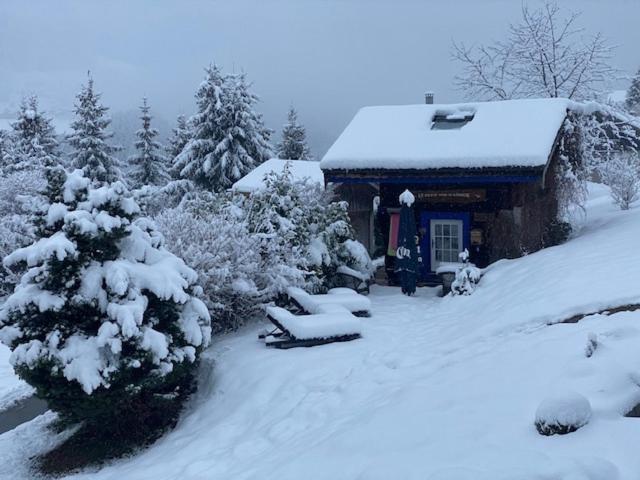 Micro-Lodge, Le Petit Nid D'Amour Montriond Bagian luar foto
