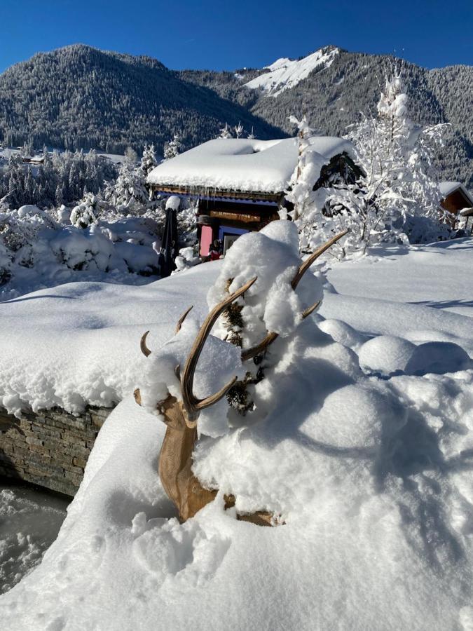 Micro-Lodge, Le Petit Nid D'Amour Montriond Bagian luar foto