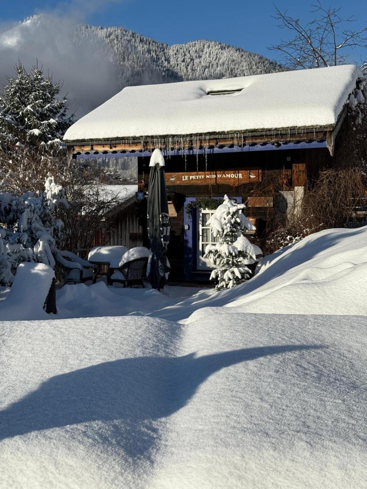 Micro-Lodge, Le Petit Nid D'Amour Montriond Bagian luar foto