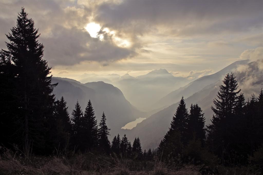 Micro-Lodge, Le Petit Nid D'Amour Montriond Ruang foto