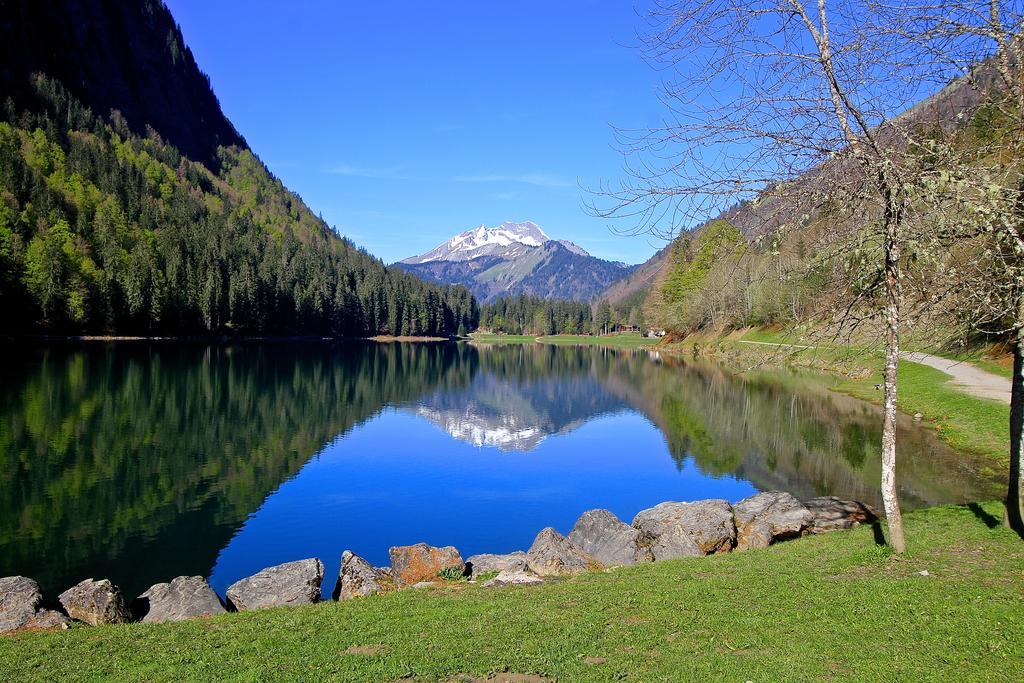 Micro-Lodge, Le Petit Nid D'Amour Montriond Bagian luar foto