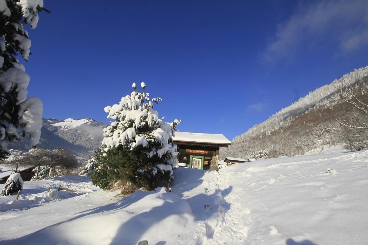 Micro-Lodge, Le Petit Nid D'Amour Montriond Bagian luar foto